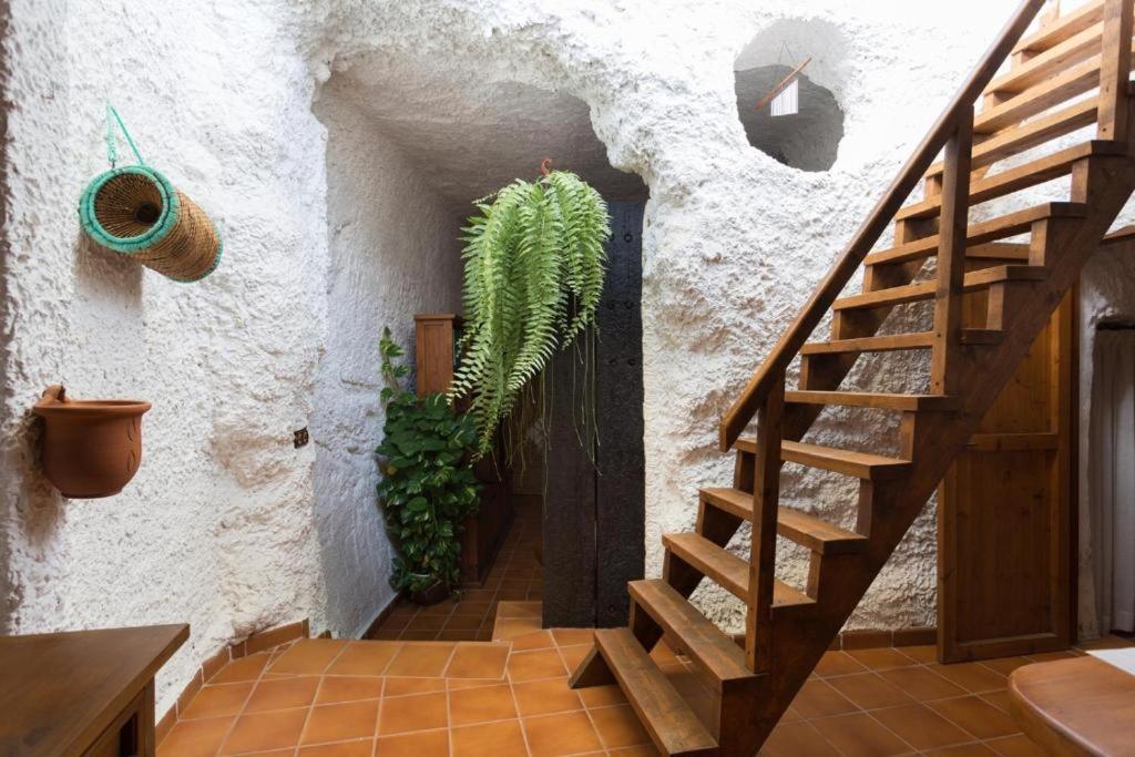 Live Socorro Cave Villa Güimar Eksteriør billede
