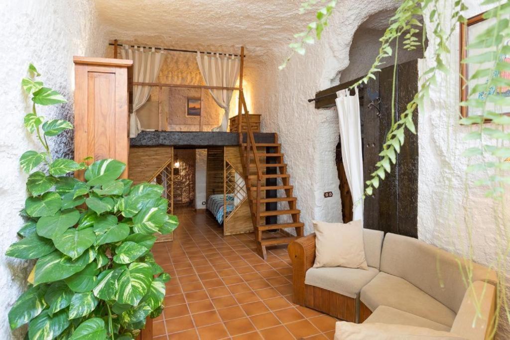 Live Socorro Cave Villa Güimar Eksteriør billede